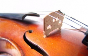 Festival Internazionale di Musica da Camera di Cervo